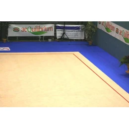 Тренировочный ковер 11х11м (гимнастический)