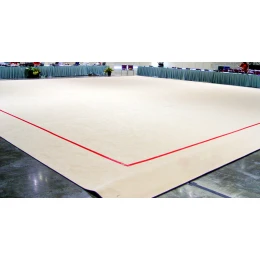 Гимнастический ковер 14х14м